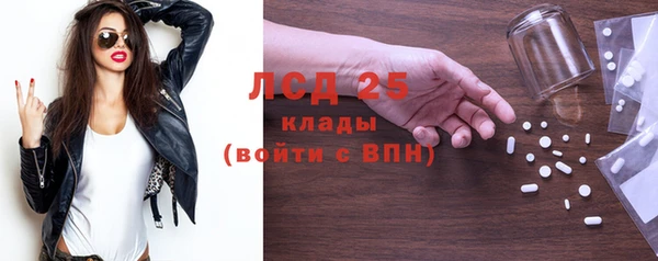 шишки Тихвин