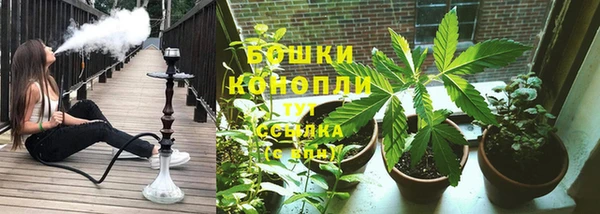 шишки Тихвин