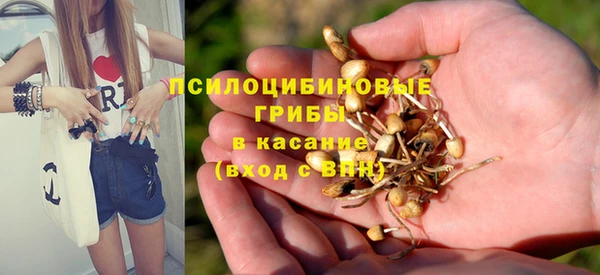 mdpv Балахна